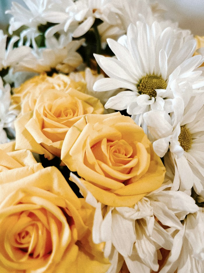 Ramo de rosas amarillas y margaritas blancas